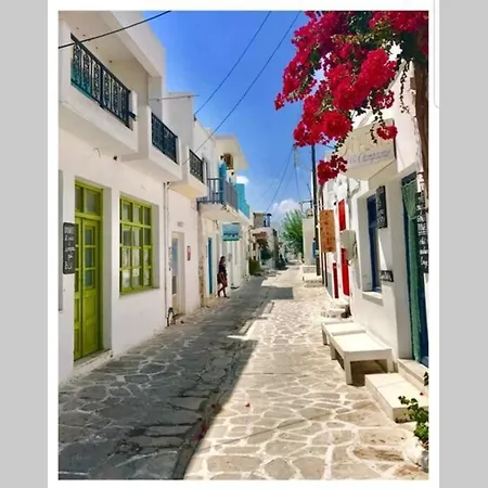 Camara House, Nyaraló *