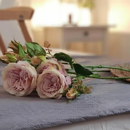 Camara House, Nyaraló Andíparosz